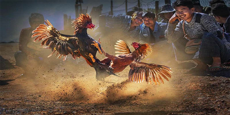 sun88 xổ số bữa nay