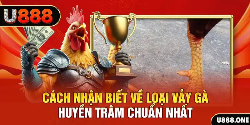 sun88 đăng nhập nổ hũ số 1