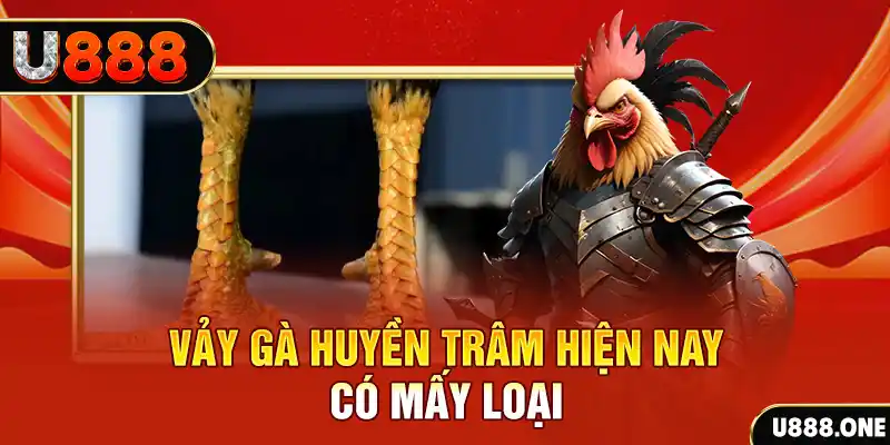 sun88 xổ số bình định