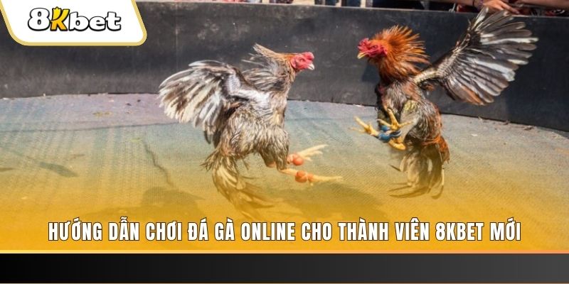 sun88 JILI Game Bài 3d