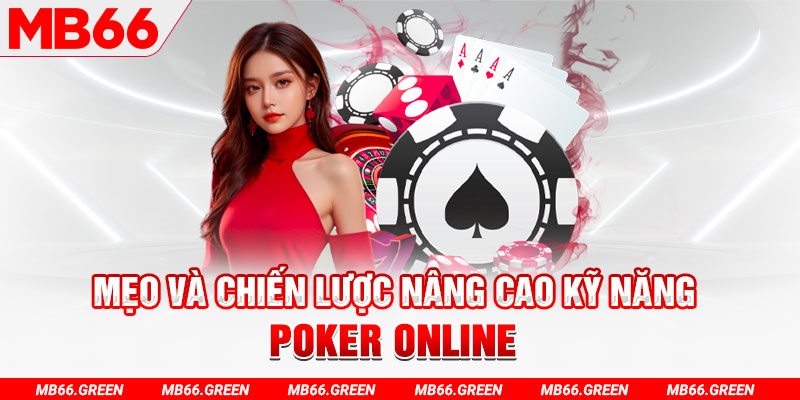 sun88 chổi lông gà