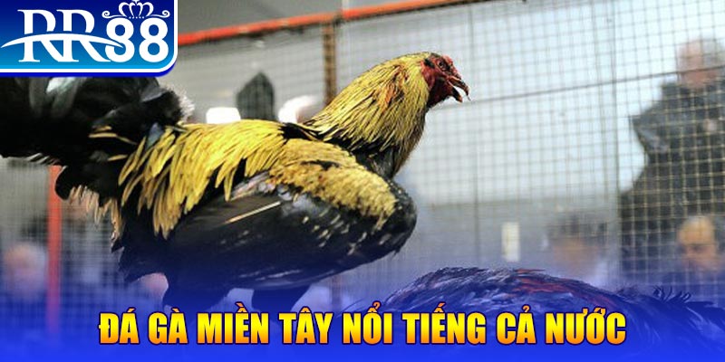 sun88 xổ số đại phát
