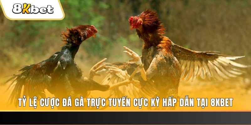 sun88 đăng nhập nổ hũ trực tuyến