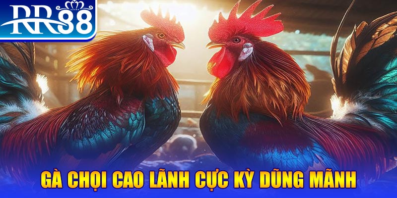 sun88 HB Điện Tử